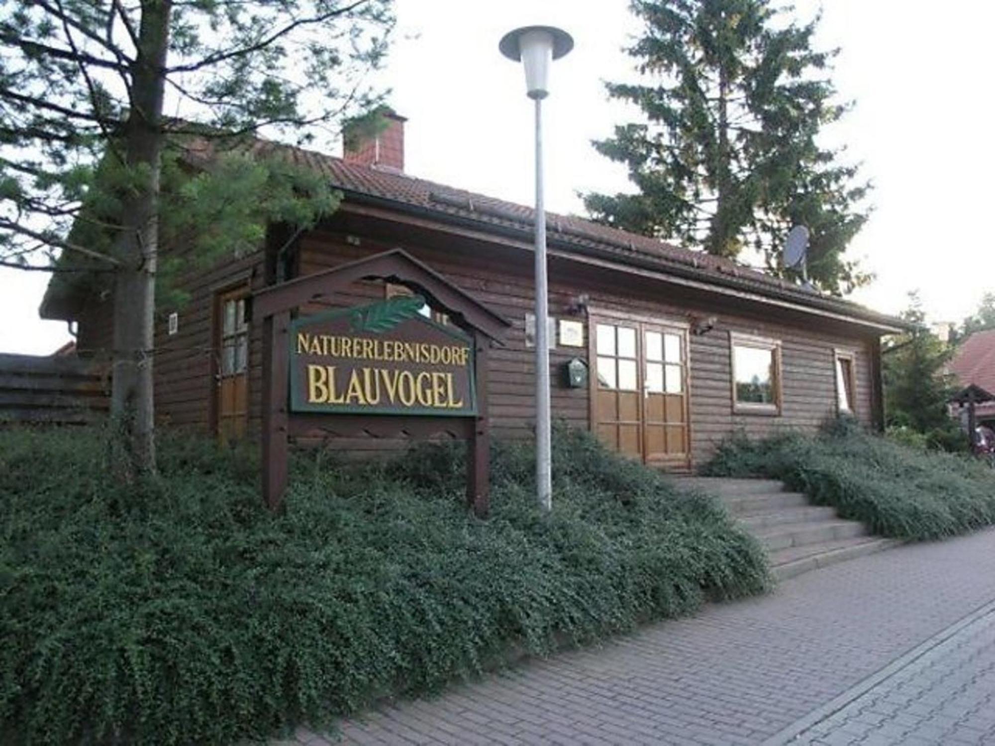 Ferienhaus Nr 32, Typ A, Ferienanlage Blauvogel, Hasselfelde, Harz Exteriér fotografie